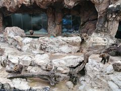 -珠海长隆海洋王国
