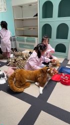 -奈尔宝家庭中心·亲子餐厅(苏州大悦城店)