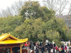 -老头儿油爆虾·1987杭州烟火味(湖滨银泰in77D区店)