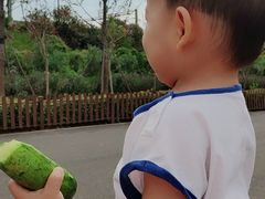 -东湖落雁景区
