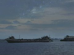 -上海吴淞炮台湾国家湿地公园