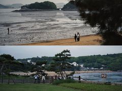 -普陀山风景名胜区-法雨禅寺