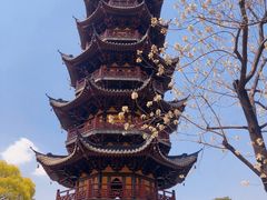 -龙华寺