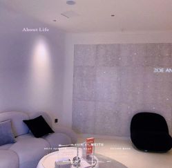 -紫御国际抗衰ZOE ANTI AGING