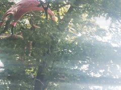-松花湖风景名胜区