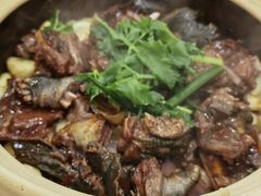 -金龙·打边炉(武进路店)