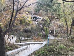 -大岭沟猕猴桃谷风景区