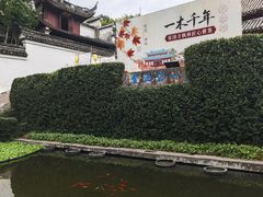 -宁波市保国寺古建筑博物馆