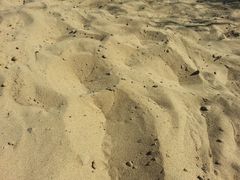 -亿利库布其七星湖沙漠生态旅游区