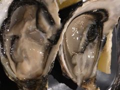 -白天鹅宾馆·流浮阁咖啡厅