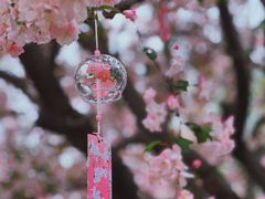 -莫愁湖公园