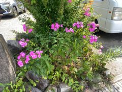 -白川乡与五箇山的合掌构造村落