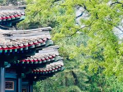 -承德避暑山庄景区