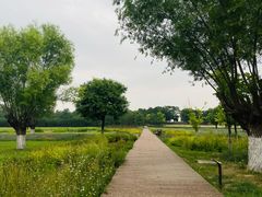 -汉长安城未央宫国家考古遗址公园