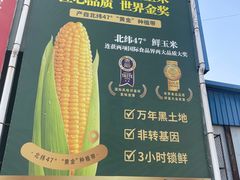 -沈阳水产批发市场