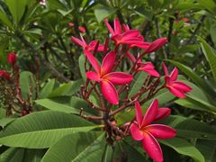 -莲花公园煎蟹·30年闽菜(火车站店)