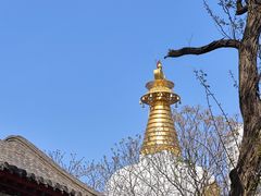 -护国法轮寺
