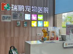-瑞鹏宠物医院·内科·中兽医·骨科(苗圃店)