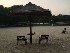 -上海东方佘山翰悦阁酒店·Vie全日制餐厅