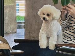 -山下C5cafe(惠通时代广场店)