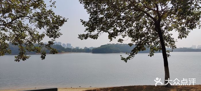 松山湖南湖湾露营营地图片