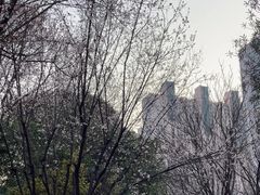 -苏州河梦清园环保主题公园