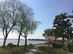 -同里湖大饭店-怡景轩中餐厅(同里古镇店)