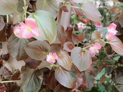 -金稼园·金平湖农家菜