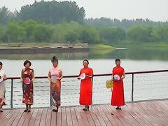 -东郊湿地公园