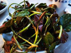 凉拌折耳根-东吴霸王兔(松青路店)