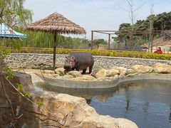 -沈阳森林动物园