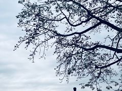 -广州中山纪念堂