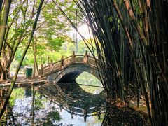 -棠湖公园