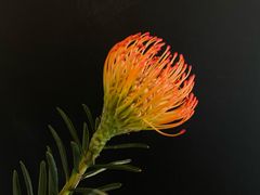 -二里咖啡(上堡公寓店)