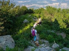 -大觉寺-停车场