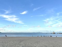-野狸岛