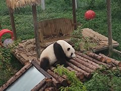 -西安秦岭野生动物园