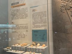 -湖南省地质博物馆