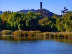 -北坞公园