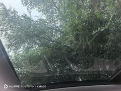 -XPEL旗舰店·汽车贴膜·隐形车衣·改色贴膜