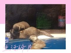 -成都浩海立方海洋公园