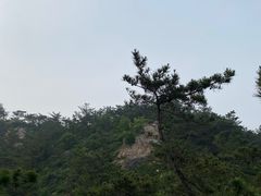 -燕窝岭