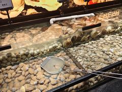 -韩盛·盛江山自助料理(于洪新玛特店)