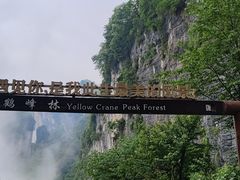-蝶舞清江·恩施云顶景区(黄鹤峰林)