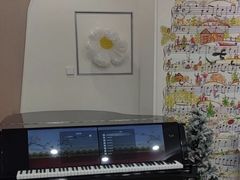 -Mr.先声音乐(罗湖店)