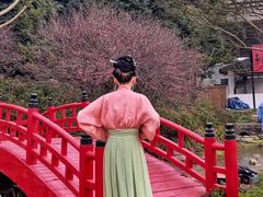 -秀丽东方