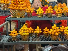 -越秀西湖花市(广州城市广场花卉店)