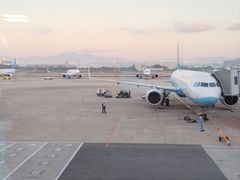 -厦门高崎国际机场-T3航站楼