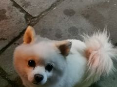 -黎阳老街