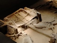 -洛阳周王城天子驾六博物馆